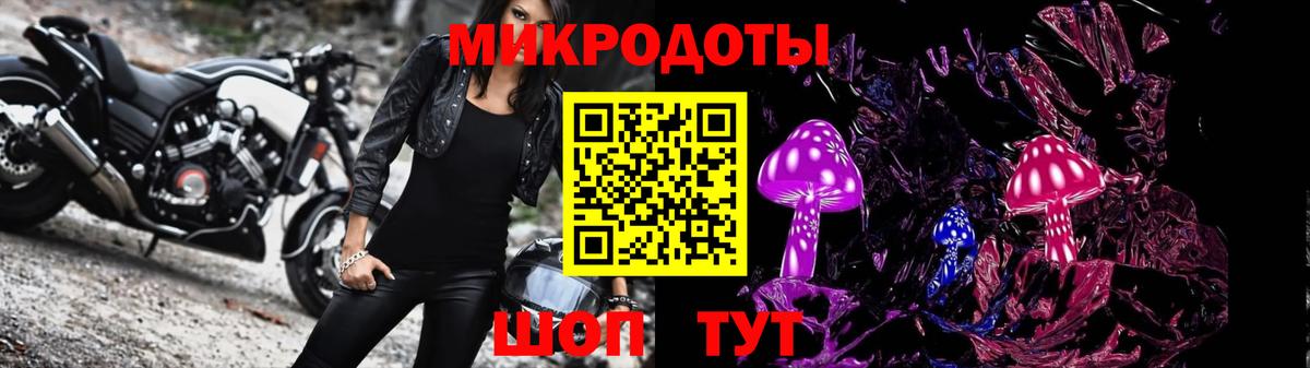 Большой Камень  Псилоцибиновые грибы мицелий  Вход с VPN 
